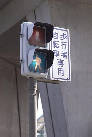 高級車愛好家必見！ポルシェの魅力と終活準備のポイント