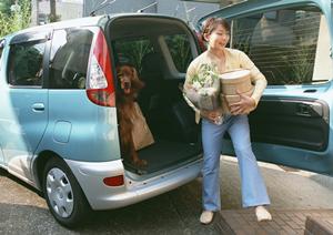 格安で車検見積もりができる理由