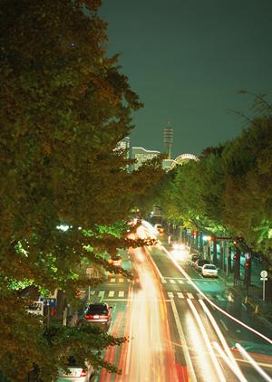 2025年最新版：カーカバーの効果的な選び方とおすすめランキング大全