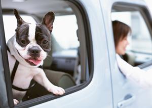 一宮市で選ばれる！カーリースの最新トレンドとお得な比較ポイント【2026年版】